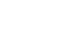 Sharks Sharks