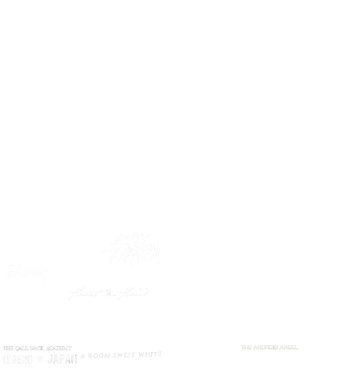 2013 Lineup